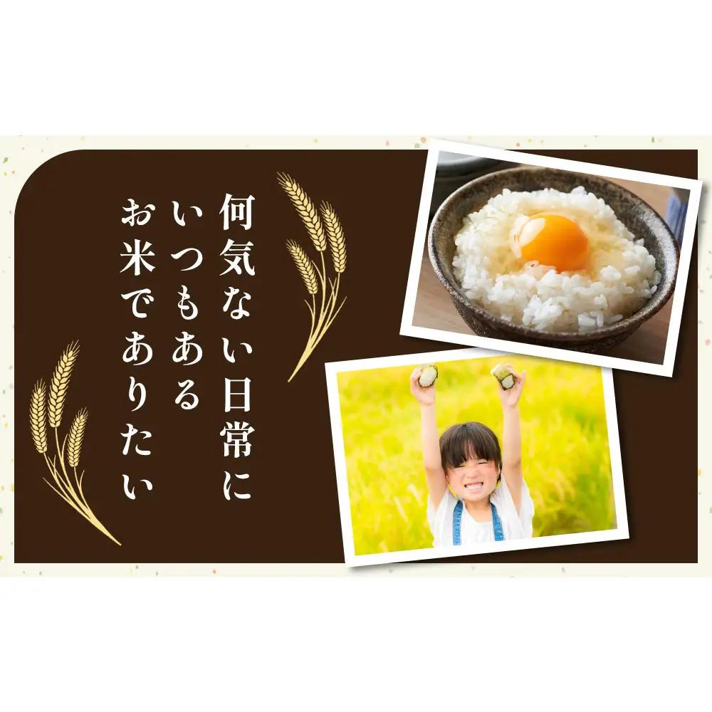 203.日置さん家のお 米 「 鳥取 旭 」5kg×2袋【 無洗米 ・2026年産】 | 無洗米
