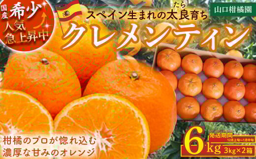 スペイン生まれのたら育ちクレメンティン 6kg クレメンティン みかん 柑橘 国産 オレンジ マンダリン 希少 ジューシー ギフト 贈り物 佐賀県 太良町 ND2