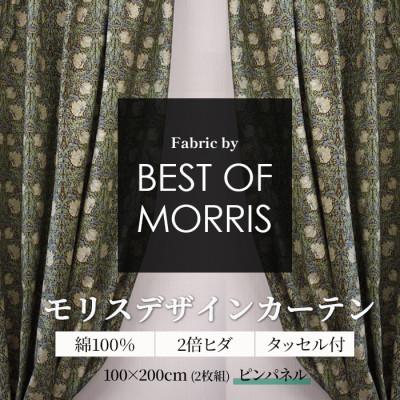 ふるさと納税 茅野市 厚地カーテン ピンパネル 幅100×丈200cm 2枚組　Fabric by ベストオブモリス