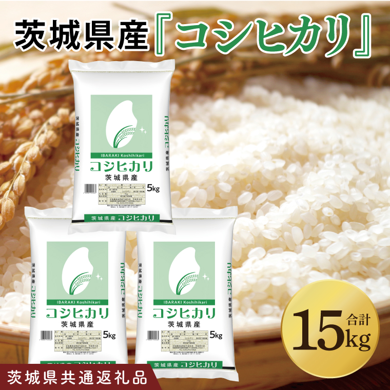 【茨城県共通返礼品】令和7年産 茨城県産 コシヒカリ15kg（5kg×3袋）【お米 米 こしひかり ごはん 茨城県】（03-50-1）
