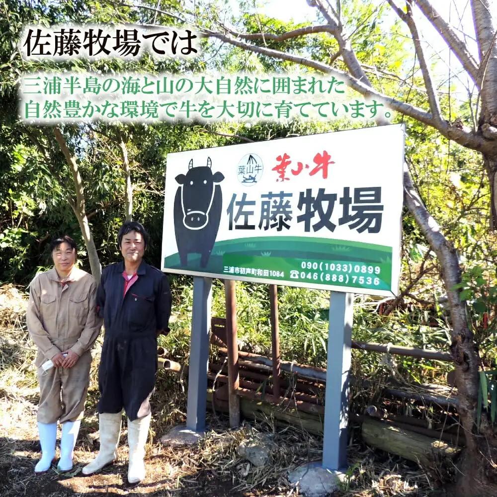 【 神奈川県産 黒毛和牛 】 三浦市 の 佐藤牧場 が育てた 葉山牛 肩ロース すき焼き肉 2P M079-007-01 肉 牛肉 冷凍