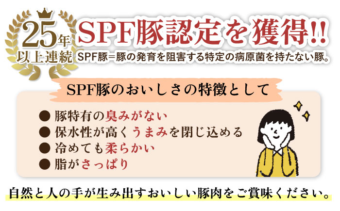 【12回 定期便】やっちゃおいしか芳寿豚バラエティセット 計1500g 南島原市 / 芳寿牧場 [SEI019]