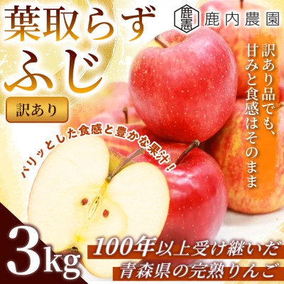 
                  【訳あり】りんご 「葉取らずふじ」 約3kg (約(9～12個入り) 青森市 産地直送【1496471】
                