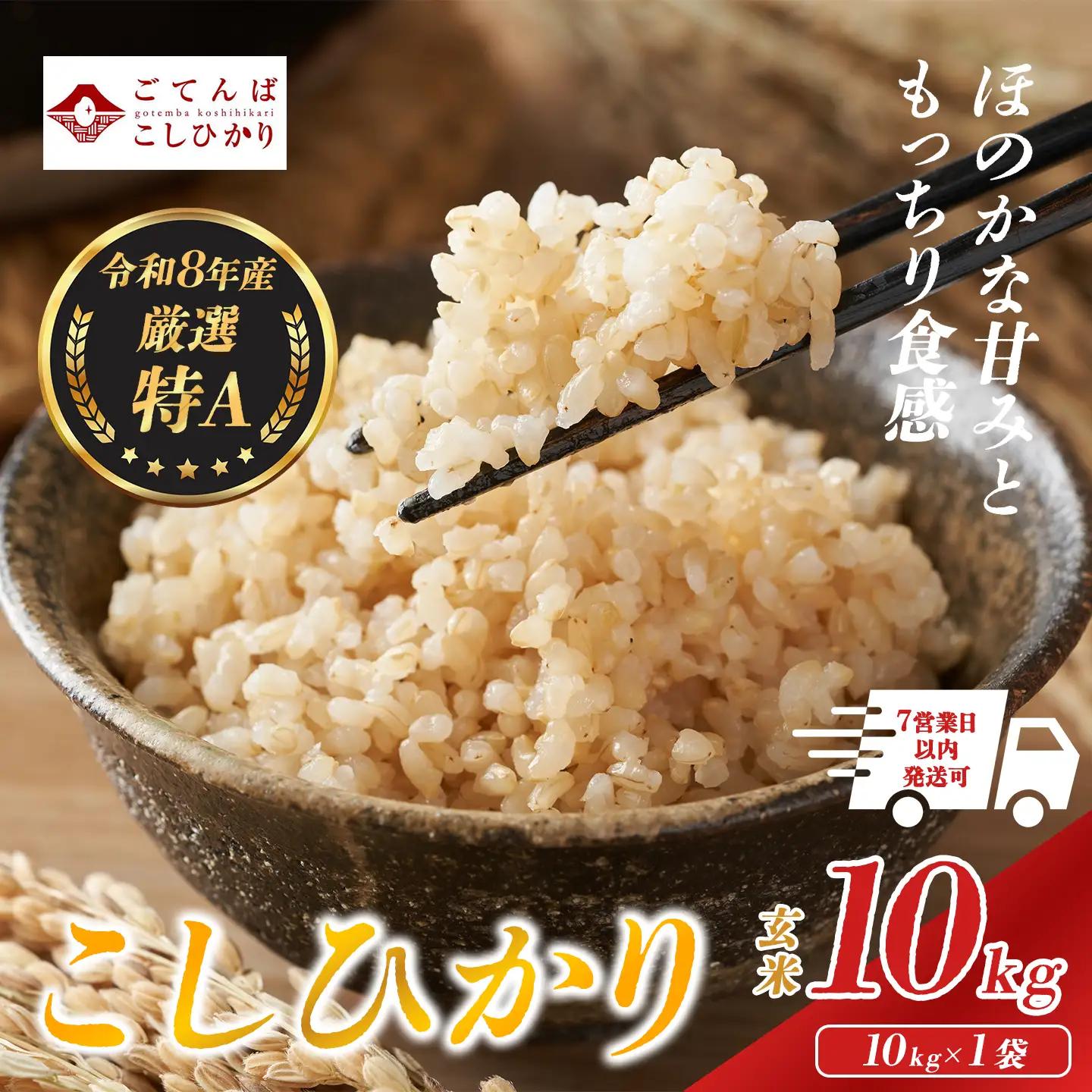 先行予約 令和8年産 玄米 こしひかり 10kg コシヒカリ