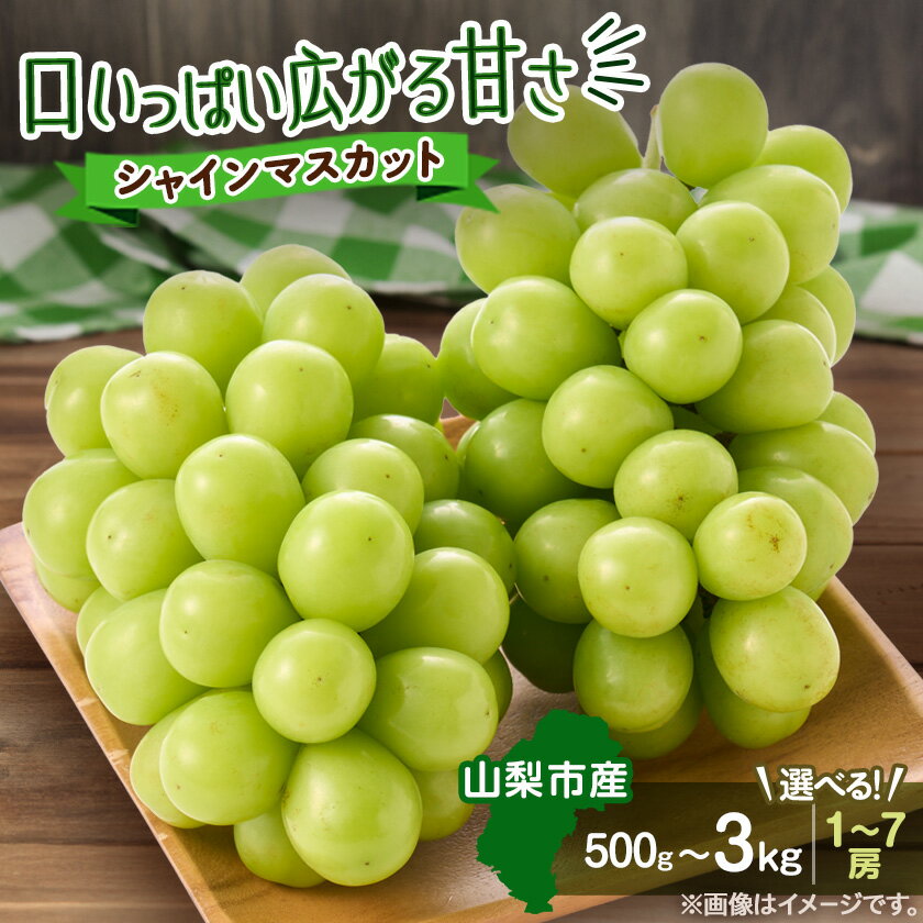 【ふるさと納税】【2026年発送】やみつきシャインマスカット500g以上/1.2kg/1.5kg/2kg/3kg_ ぶどう 葡萄 ブドウ シャインマスカット 種なし 果物 フルーツ 山梨県 山梨市 送料無料 プレゼント 贈答 ギフト 【配送不可地域：離島】【G1304362】