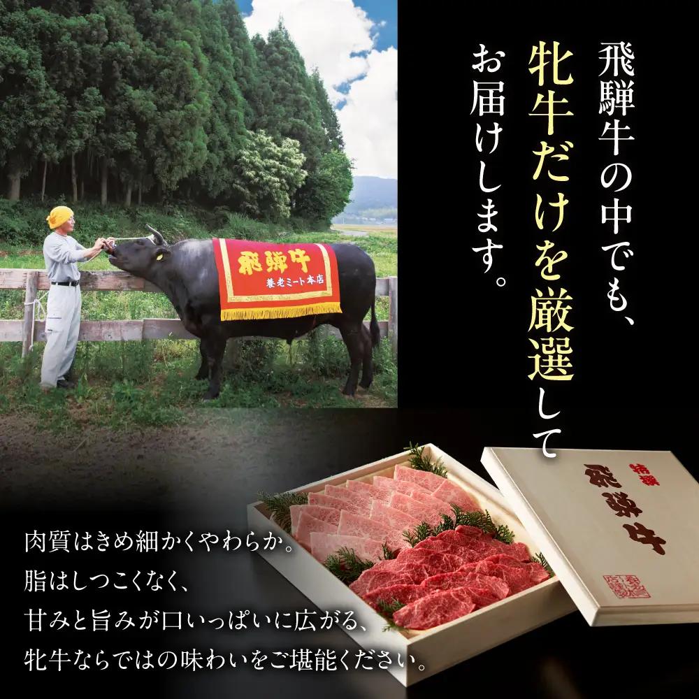 飛騨牛　A5 牝牛 切り落とし 500g 3か月定期便 ステーキ 牛肉 焼肉 高級 黒毛和牛 和牛 切り落とし 訳あり