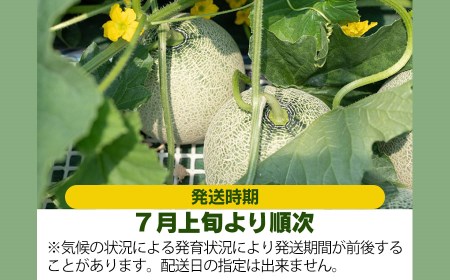 【令和6年産先行予約】お楽しみメロン３玉セット 2Lサイズ 山形県 庄内産 砂丘メロン 三昧 アンデスメロン・鶴姫メロン・鶴姫レッドメロン の中から3玉お届け 食べ比べ  JA鶴岡 A26-610