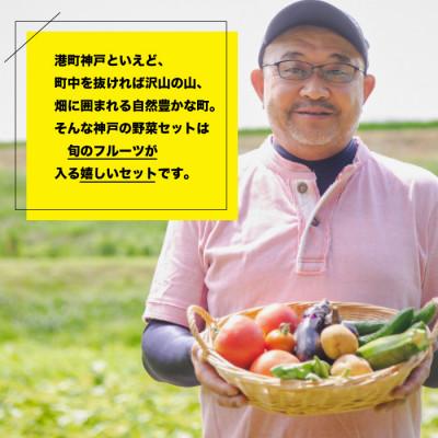 ふるさと納税 神戸市 神戸のお野菜詰め合わせセット(季節のフルーツ1種類入) |  | 01