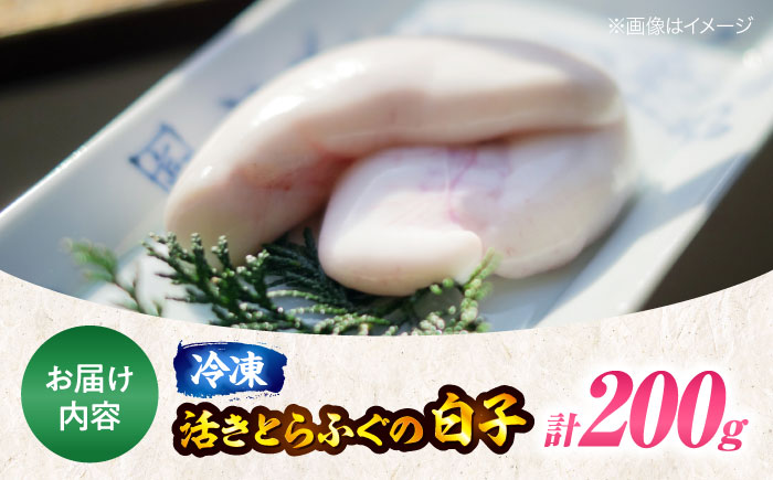【冷凍】【12月中旬から順次発送】希少！冷凍で届く天然の恵み！活きとらふぐの白子 約200g　愛媛県大洲市/天然活魚　濱屋 [AGBP002]河豚 ふぐ ヒレ酒 てっちり鍋ひれ酒 フグ刺し 唐揚げ ふ