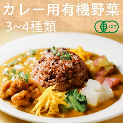 ふるさと納税 掛川市 有機野菜でカレーを作ろう　カレーに使える有機野菜を3〜4種類　定番野菜だからなんにでも使えます。