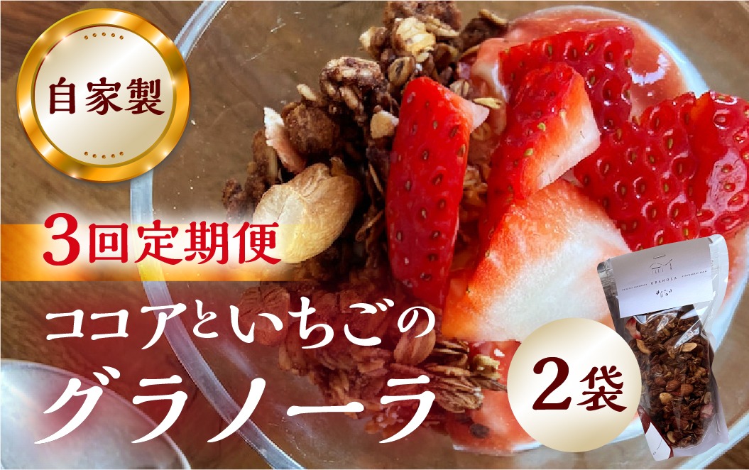 【3回定期便】【2026年2月～発送】いちごとココアのグラノーラ2袋 family農園watanabe ココア いちご 紅ほっぺ シリアル 朝食 ギフト ｜フルーツ スイーツ 苺 牛乳 デザート おやつ イチゴ 子ども 大人 人気 岐阜県 本巣市 [mt293]