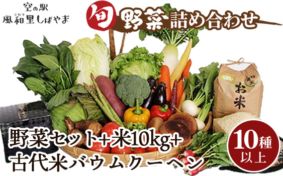 野菜セット10種以上＋米10kg＋古代米バウムクーヘン