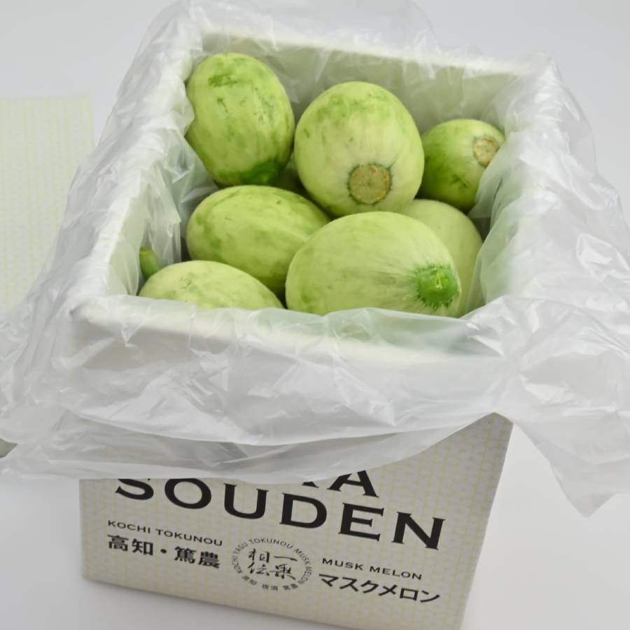 ＜一果相伝＞『つるかめろんの玉子』(摘果メロン)2kg