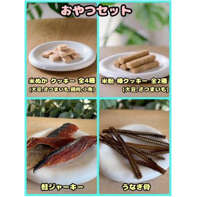 ふるさと納税 富田林市 【ふるさと納税限定セット】【わんちゃん用ペットフード】 WalkyHoliday おやつセット