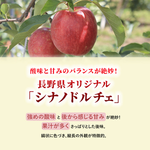志賀高原の麓で育った シナノドルチェ （家庭用）約10kg 【 りんご 10kg フルーツ 長野 】