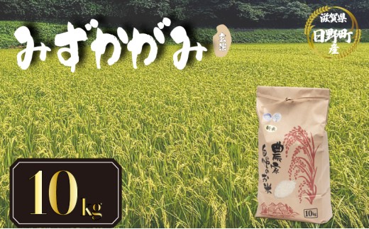 【 令和8年産 米 10kg 】 みずかがみ 米 玄米 国産 滋賀県 日野町 農家直送 お米 おこめ こめ 産地直送 ふるさと納税