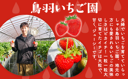 いちご 苺 イチゴ 2種 食べ比べ お試し 15粒 約450g 鳥羽いちご園 阿波ほうべに 紅ほっぺ 《1月上旬-3月下旬頃発送予定》いちご イチゴ 苺 お試しサイズ 2種食べ比べ 徳島県 オリジナル