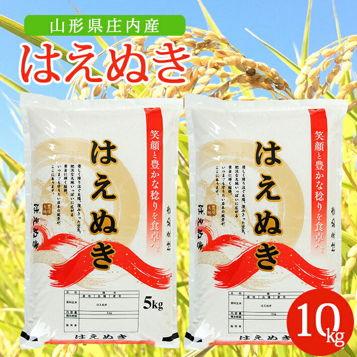 【ふるさと納税】はえぬき 5kg×2袋 計10kg 令和7年産米 山形県庄内産 ご希望の時期頃お届け 東北 山形県 酒田市 庄内地方 米 精米 白米 お米 ごはん ご飯 庄内米