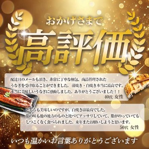 特選うなぎの蒲焼き3尾＋白焼き3尾入り 特製タレ付き ヤマシン【特選うなぎ】