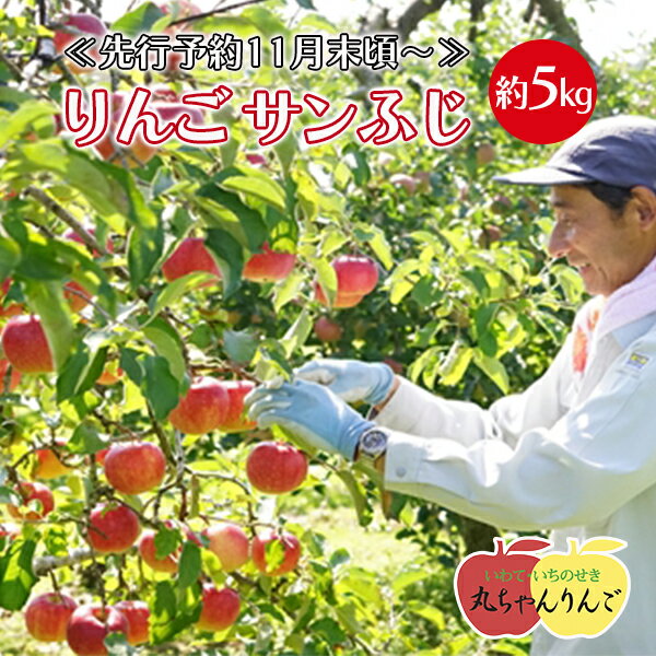 【ふるさと納税】家庭用 りんご サンふじ 約5kg ≪先行予約11月下旬頃〜順次発送≫ リンゴ 林檎 果物 フルーツ 産直 岩手県 一関市