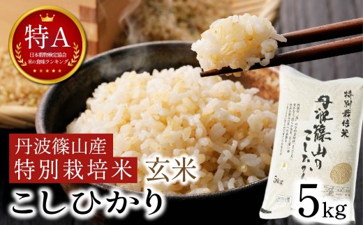 【令和7年産】〈特Aランク〉丹波篠山産こしひかり 玄米5kg〈特別栽培米・減農薬〉自家製堆肥で土づくり◆兵庫県丹波篠山市