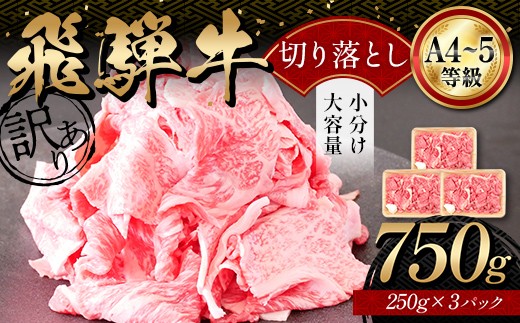 A4等級以上 飛騨牛 焼肉 切り落とし 250g × 3 計 750g 牛肉 ブランド牛 肉 切落し わけあり ぎゅうにく にく ひだぎゅう ひだうし 訳あり 商品 ワケアリ 不揃い 大容量 切り落とし きりおとし 小分け 冷凍 ネオプライムヒグチ 食品 訳有 焼肉セット 焼肉用 選べる 肉のひぐち F6M-329
