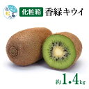 【ふるさと納税】香緑キウイ化粧箱　約1.4kg【2025-1月上旬～2025-3月下旬配送】 | 香緑 キウイ キウイフルーツ フルーツ 果物 デザート スイーツ おやつ 化粧箱入り ギフト プレゼント 贈答 贈答用 贈り物 お祝い オリジナル品種 香川オリジナル品種 糖度 甘い 高松産 四国