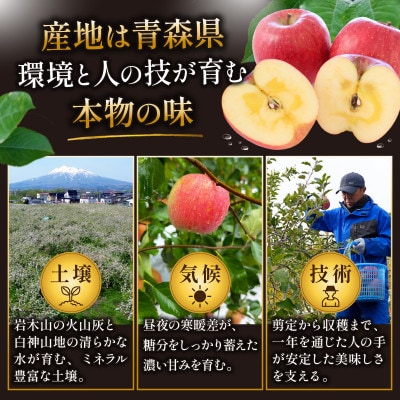 11-12月蜜入り時期に発送! 平均糖度13度以上 葉とらずサンふじ 約3kg 訳あり 青森 りんご【配送不可地域：沖縄県】
