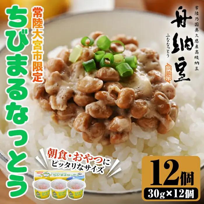 納豆 ちびまる納豆12パック 茨城 大豆 【納豆】【ho1518】