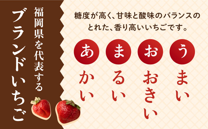 【先行予約】【全2回定期便】【2025年2月より順次発送】糸島産【春】 あまおう 6パック 毎月計1.5kg 糸島市 / 南国フルーツ株式会社 [AIK027]