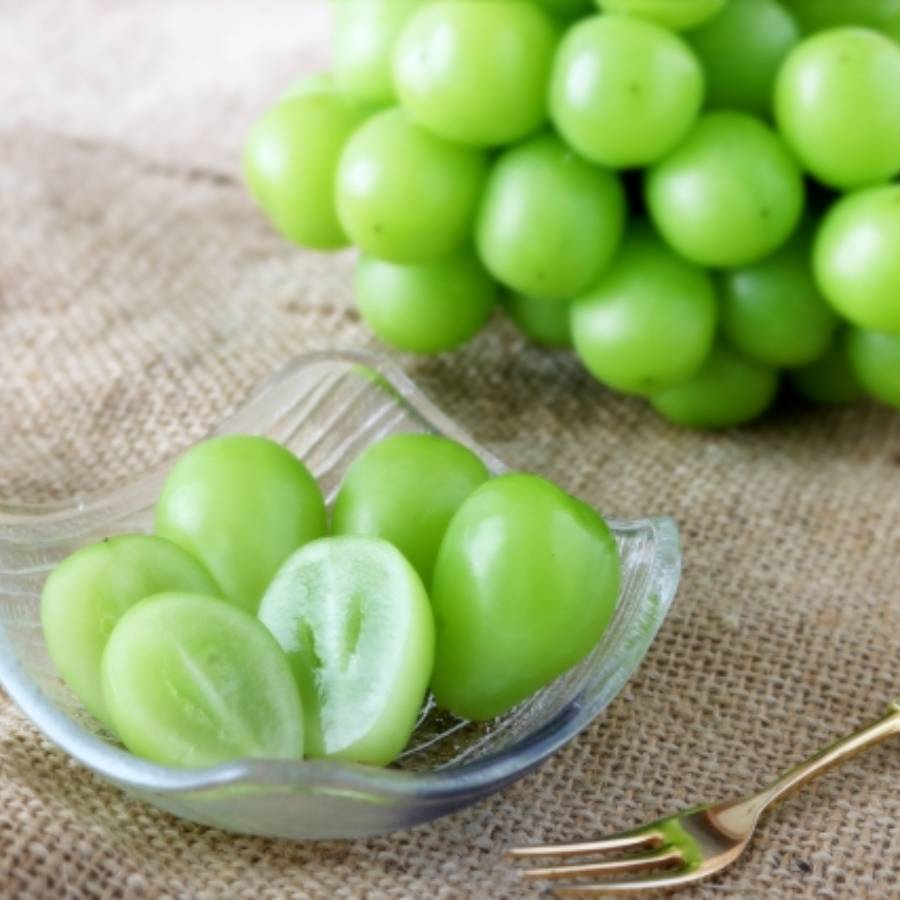 シャインマスカット