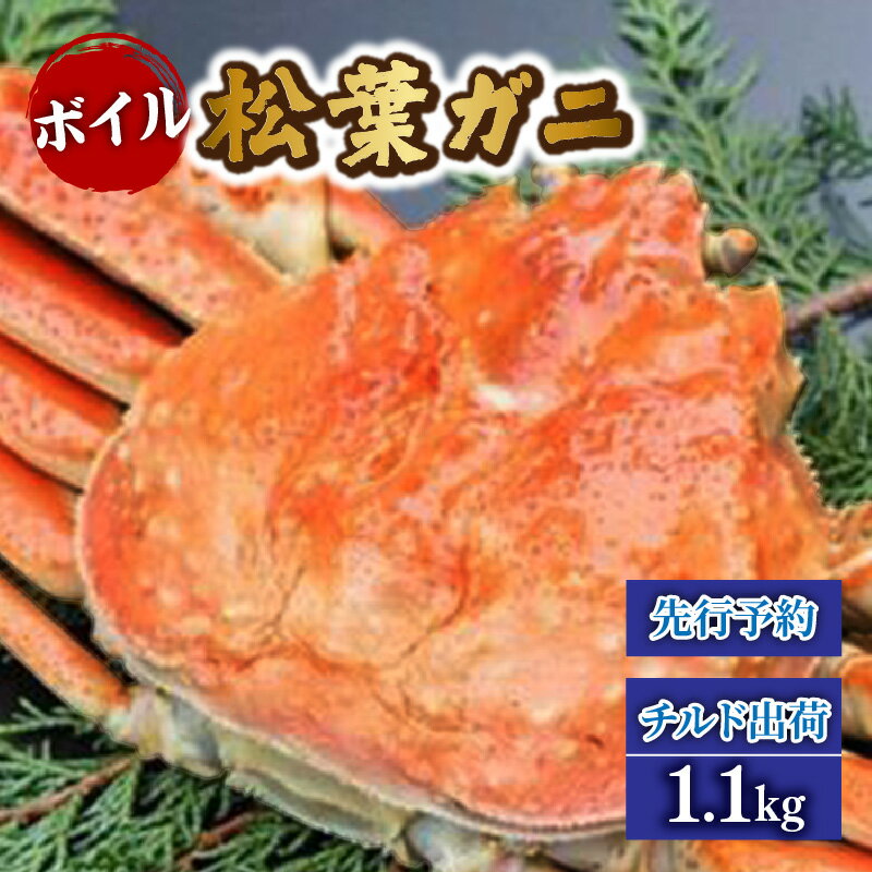 【ふるさと納税】【先行予約】ボイル松葉がに 1.1kg かにの身入りかにみそ【三杯酢付】 タグ付き ※令和7年11月中旬以降順次配送予定 冷蔵 チルド出荷 香住・山陰沖で水揚げ 新鮮な松葉がにを熟練の職人が茹で上げ ズワイガニ マルヨ食品 マルヨダイレクト 17-32 送料無料