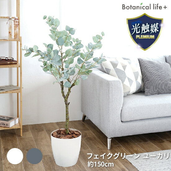【ふるさと納税】フェイクグリーン ユーカリ 150cm 光触媒加工 鉢付き インテリア 抗菌 消臭 愛知県 豊橋市 送料無料 58000円