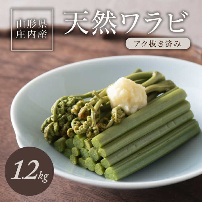 【ふるさと納税】庄内産 天然わらび（アク抜き済み） 約1.2kg（200g×6束） 5月上旬〜6月上旬頃お届け 冷蔵便 ※離島発送不可 山菜 東北 山形県 酒田市 庄内