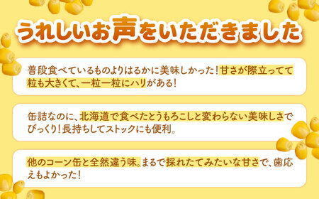 自然甘 ホールコーン 3缶【きもべつ観光協会】 缶詰 瓶詰 加工品 とうもろこし 北海道 常温配送 [AJAG021]