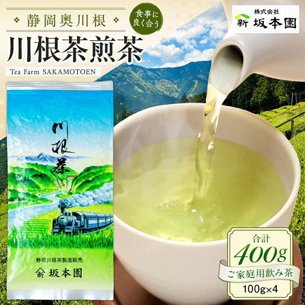 【ふるさと納税】お茶 静岡 緑茶 / 自家用煎茶 100g×4 | ふるさと納税 ふるさと 静岡県 川根本町 静岡茶 川根茶 新茶 煎茶 自家用 送料無料