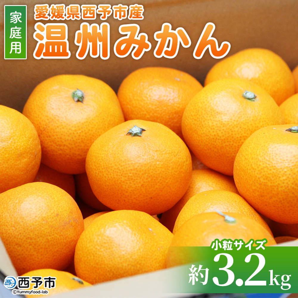 ＜愛媛県西予市産 温州みかん 小粒サイズ 家庭用 約3.2kg＞ 愛媛県産 西宇和 小玉 小さめ 果物 フルーツ 柑橘 うんしゅうみかん ウンシュウミカン オレンジ ミカン 蜜柑 訳あり 小林果園 愛