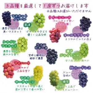 岡山　花笑み農園のブドウ『10月おすすめ3種セット』(3房)贈答用　3M-2L上【10月～順次発送】【配送不可地域：離島・北海道・沖縄県】【1626677】