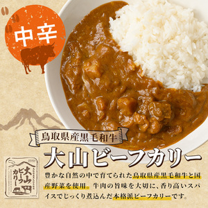 大山カリーセット(2種・計6個)鳥取県 境港市 カレーライス カレー ビーフカレー ビーフカリー チキンカレー チキンカリー 黒毛和牛 大山どり 鶏 鳥 ブランド鶏 本格 本格派 レトルト 国産 野菜