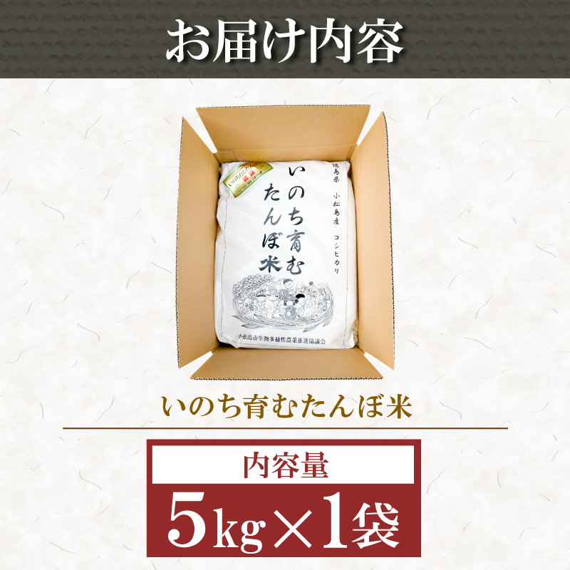 【2024年9月より順次発送】令和6年産 新米 玄米 コシヒカリ 5kg 栽培期間中無農薬 ふるさと納税 新生活 四国 徳島 小松島 新生活 おいしい お米 米 こめ おこめ 国産 ごはん ご飯 ゴハ