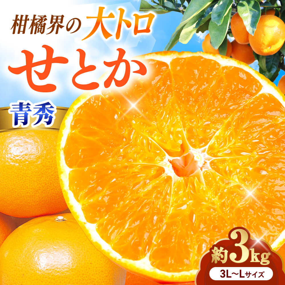 【ふるさと納税】みかん せとか 青秀 約3kg 3L-Lサイズ【1月中旬から2月中旬まで順次発送】/ フルーツ 果物 蜜柑 ミカン オレンジ 甘い 先行予約 3kg 愛媛 高糖度 ジューシー 旬 プレゼント ギフト 人気 おすすめ / 愛媛県砥部町/えひめ中央農業協同組合[BJCG007]