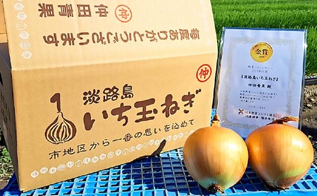 【先行予約！】【野菜ソムリエサミット金賞】淡路島玉ねぎ5kg【仲田青果の淡路島いち玉ねぎ】◆配送６月中旬～翌年２月下旬