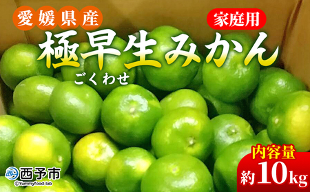 先行予約＜愛媛県産 極早生みかん 約10kg ご家庭用＞ 温州みかん 家庭用 訳あり 果物 ミカン 柑橘 フルーツ 選べる 食べて応援 特産品 段畑みかん 愛媛県 西予市【常温】『2025年9月中旬～10月中旬迄に順次出荷予定』 ADM0010