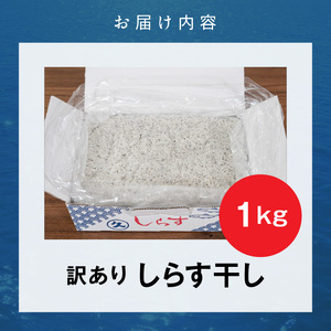 訳あり こモリ1kg！バラエティ豊富な三河しらす～海の仲間たち～　H018-046