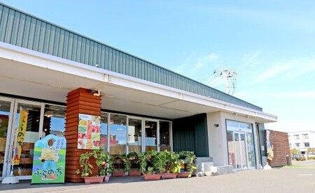 玉ねぎ（Lサイズ）20kg【AC-013】