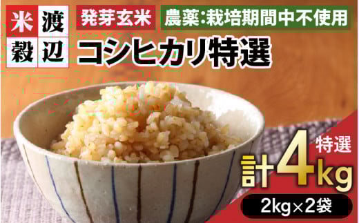 【令和7年産】発芽玄米 コシヒカリ「特選」特別栽培米使用 2kg×2袋(計4kg)【米 こしひかり 玄米 ギャバ GABA 特別栽培 食物繊維 栄養 真空パック ごはん ご飯 おいしい ふるさと納税米