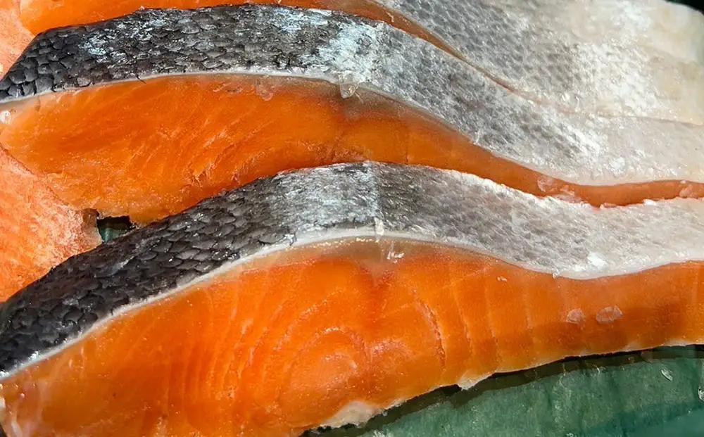 【銀鮭甘塩切身】10切れ（約1kg）| 魚 海鮮 鮭 サケ シャケ 魚介 鮭切身 朝食 お弁当 おかず 簡単調理