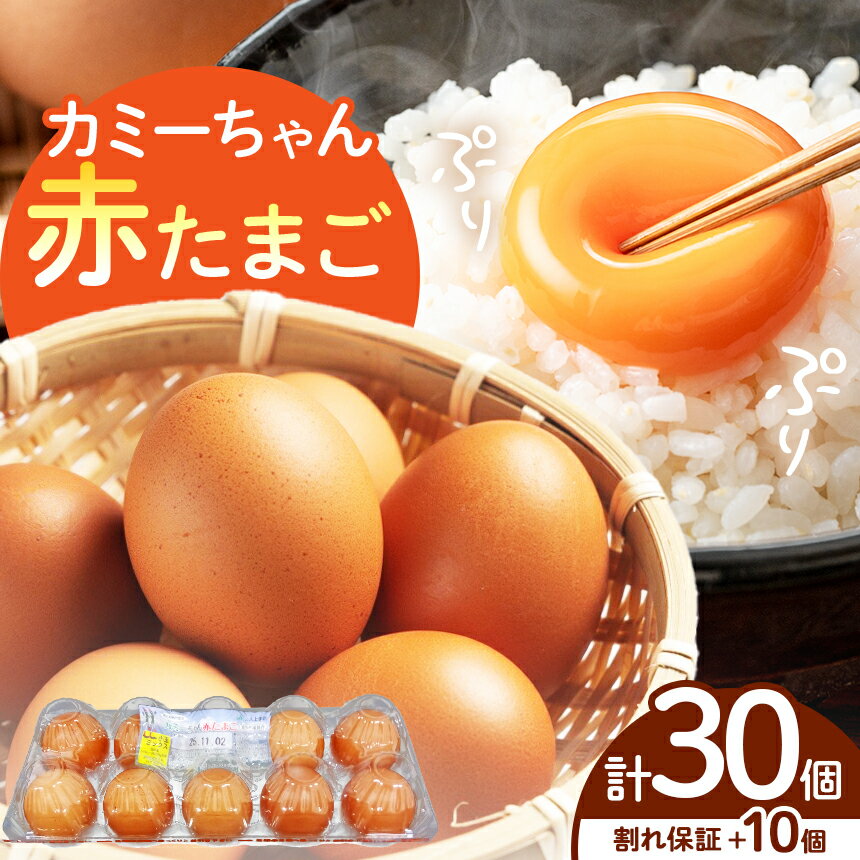 【ふるさと納税】JA上伊那　カミーちゃん赤たまご　20個＋割れ保障10個付き（MSサイズ）【008-24】｜卵 赤卵 たまご SMサイズ 20個 JA上伊那 伊那市 長野県 信州 ふるさと納税