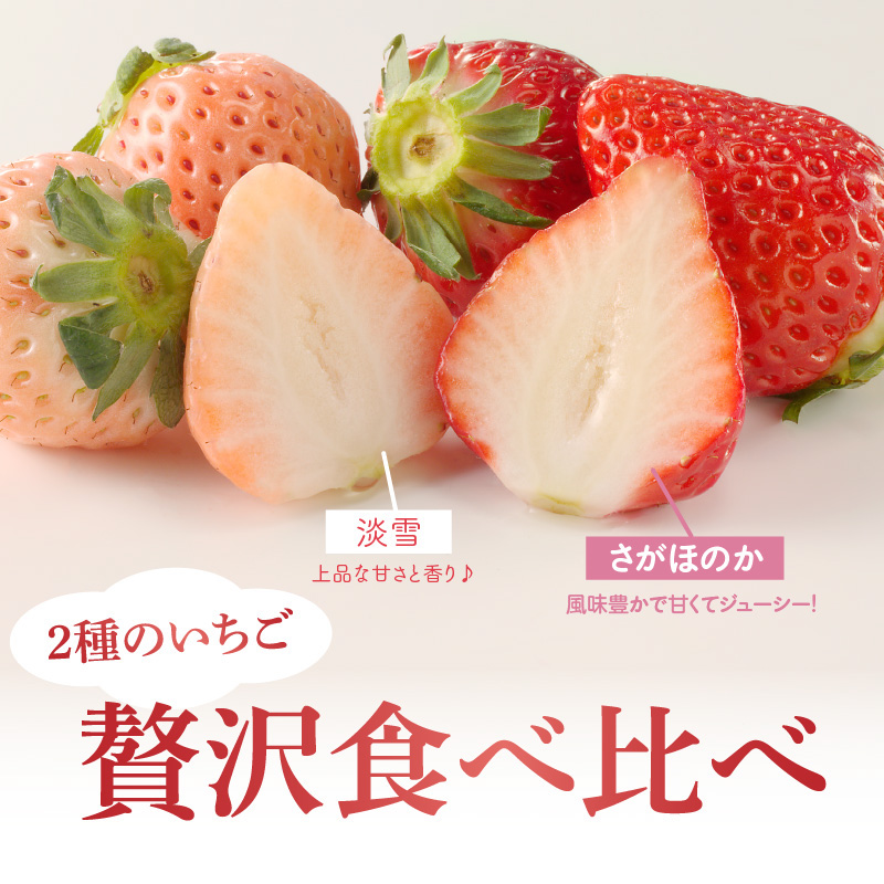 ★予約受付★杉山いちご農園 希少！白いちご「淡雪（あわゆき）」と「さがほのか」DX ギフトセット　2027年1月～5月中に順次配送 計2箱4パック