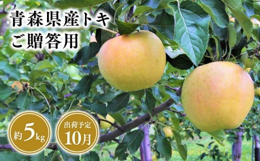 １０月発送　贈答用トキ5ｋｇ　【そと川りんご園・１０月・青森県産・平川市・りんご・トキ・5ｋｇ・贈答用】